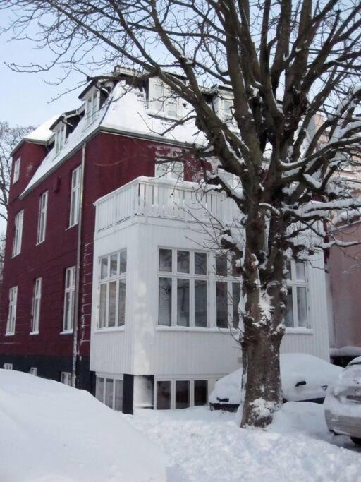 Apartment At Rostock - Pink Dış mekan fotoğraf